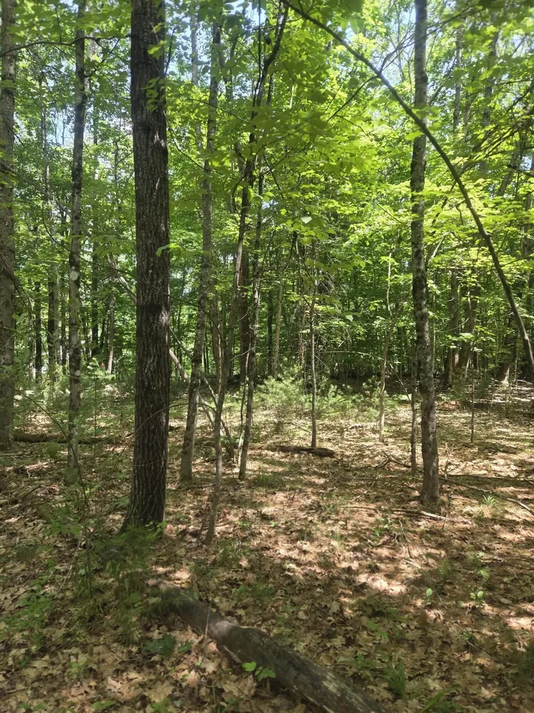 74 Lovejoy Shores Drive Fayette ME 04349