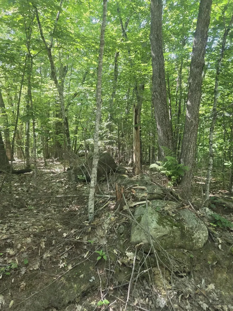 74 Lovejoy Shores Drive Fayette ME 04349
