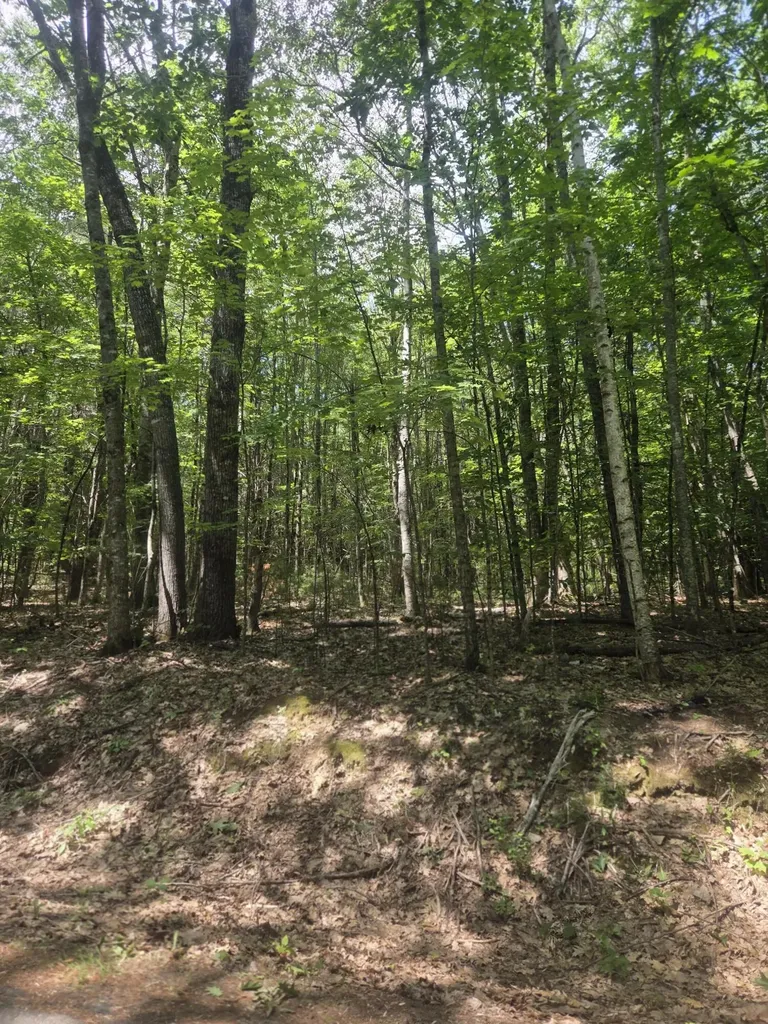 74 Lovejoy Shores Drive Fayette ME 04349