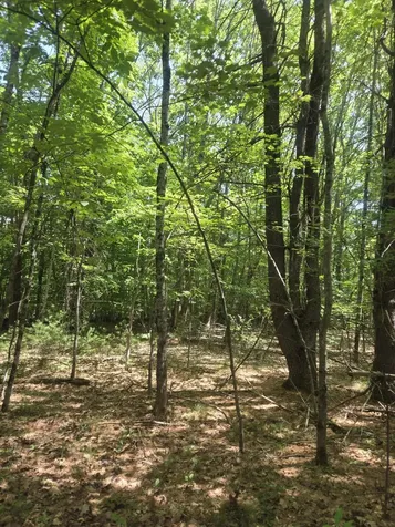 74 Lovejoy Shores Drive Fayette ME 04349