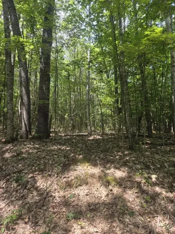 74 Lovejoy Shores Drive Fayette ME 04349