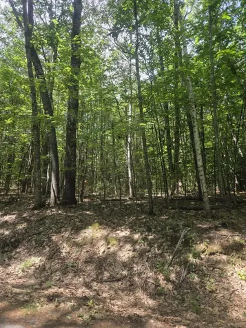 74 Lovejoy Shores Drive Fayette ME 04349
