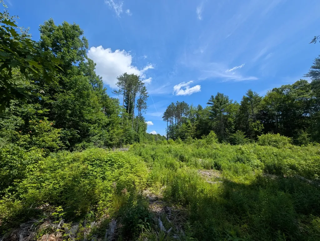 Lot # 2 Route 126 Route Litchfield ME 04350