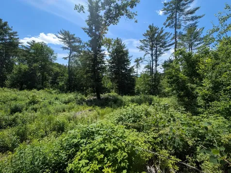 Lot # 2 Route 126 Route Litchfield ME 04350