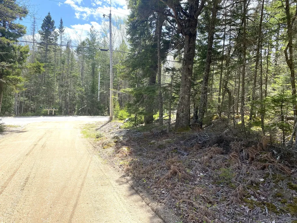 14 Woods Road Steuben ME 04680