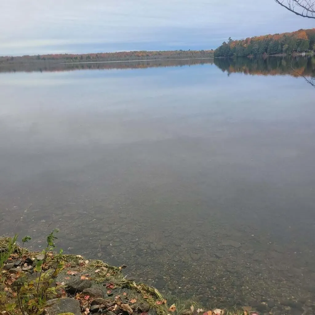 59 Camp Road Palmyra ME 04965