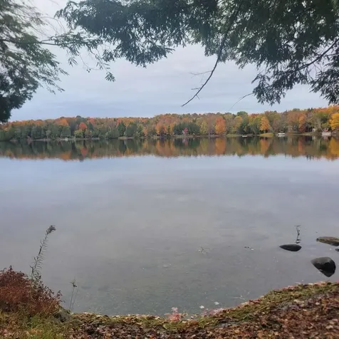 59 Camp Road Palmyra ME 04965