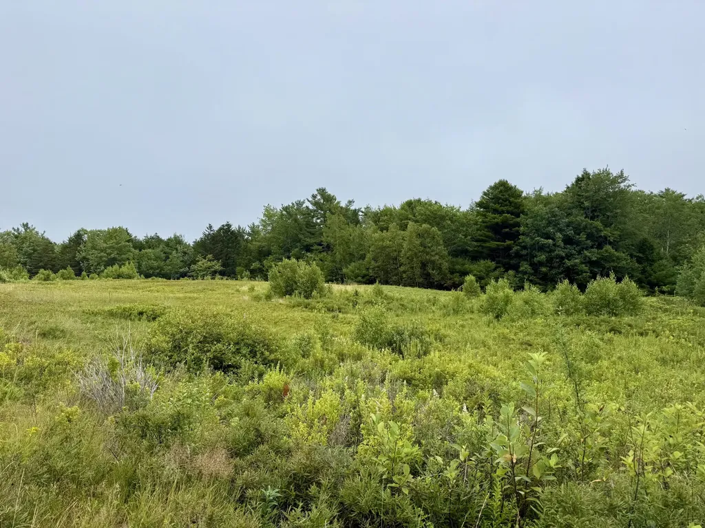 Lot 35 Guzzle Road Gouldsboro ME 04607