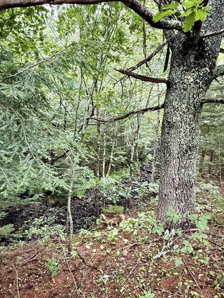 Lot 35 Guzzle Road Gouldsboro ME 04607