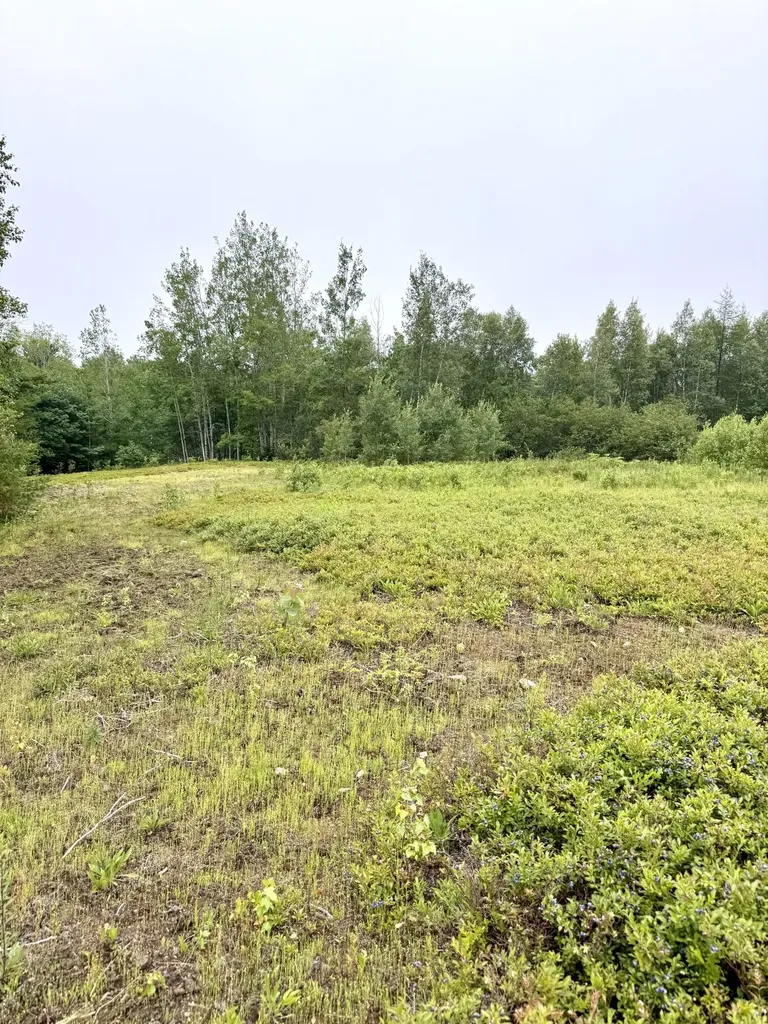 Lot 35 Guzzle Road Gouldsboro ME 04607