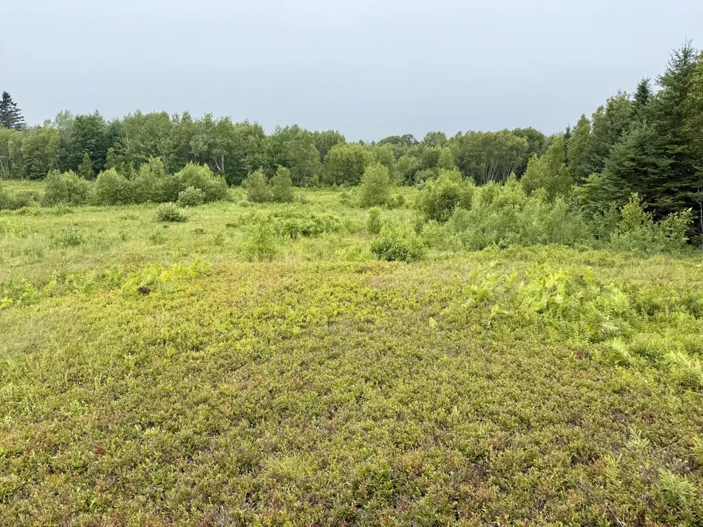 Lot 35 Guzzle Road Gouldsboro ME 04607