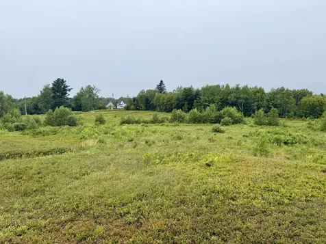 Lot 35 Guzzle Road Gouldsboro ME 04607