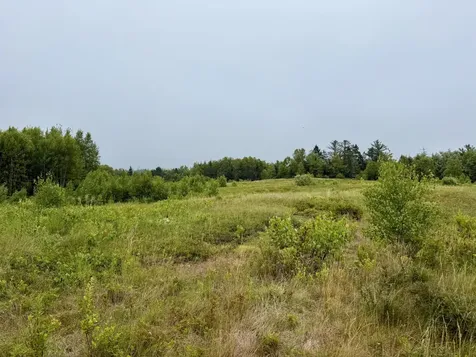 Lot 35 Guzzle Road Gouldsboro ME 04607