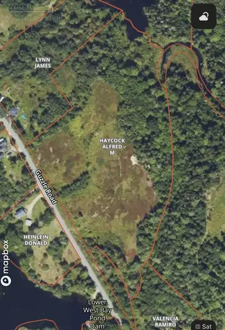 Lot 35 Guzzle Road Gouldsboro ME 04607