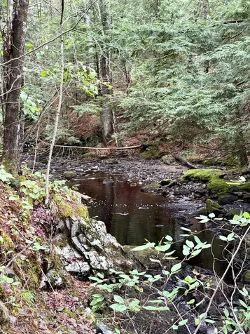 Lot 35 Guzzle Road Gouldsboro ME 04607