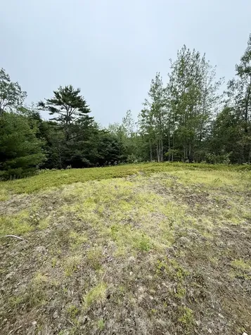 Lot 35 Guzzle Road Gouldsboro ME 04607