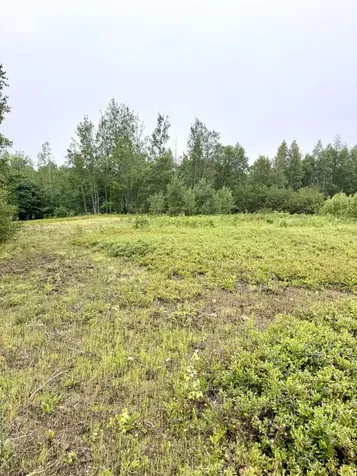 Lot 35 Guzzle Road Gouldsboro ME 04607