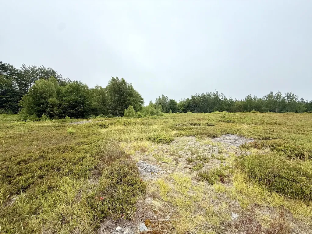 Lot 12a Us-1 Gouldsboro ME 04607