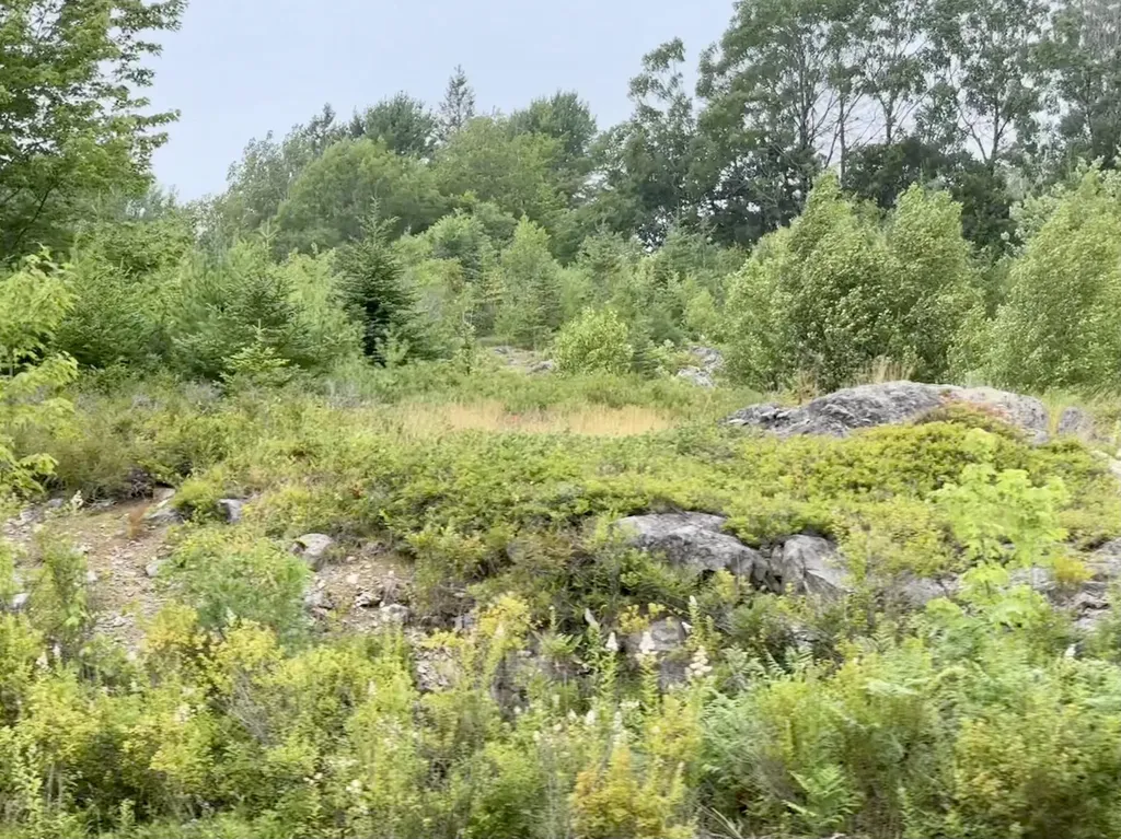 Lot 12a Us-1 Gouldsboro ME 04607