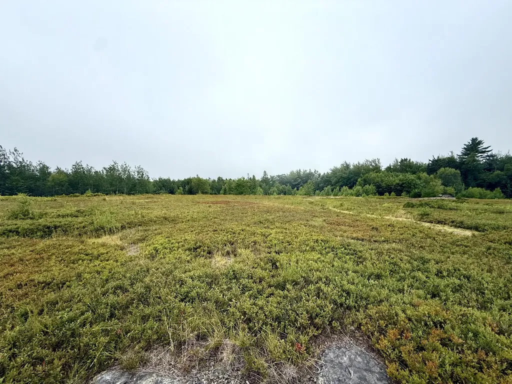 Lot 12a Us-1 Gouldsboro ME 04607