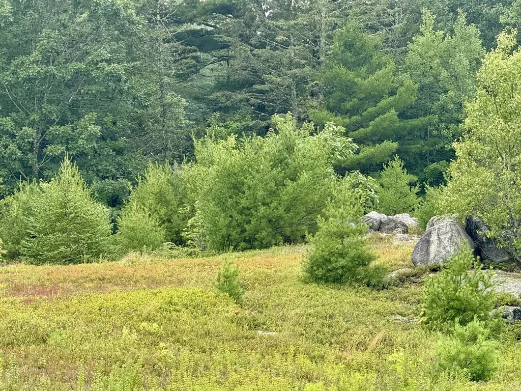 Lot 12a Us-1 Gouldsboro ME 04607
