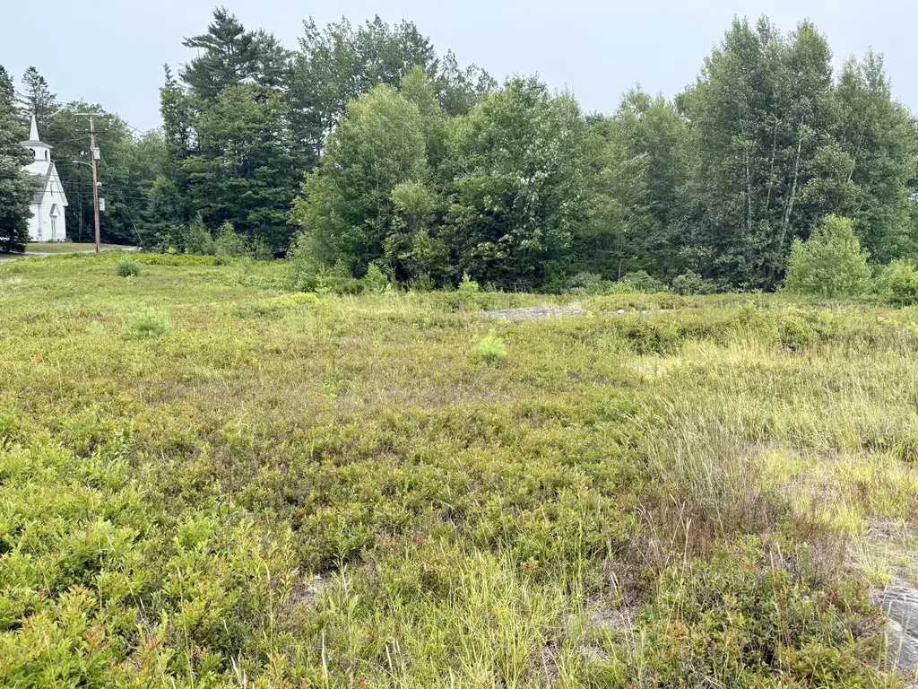 Lot 12a Us-1 Gouldsboro ME 04607