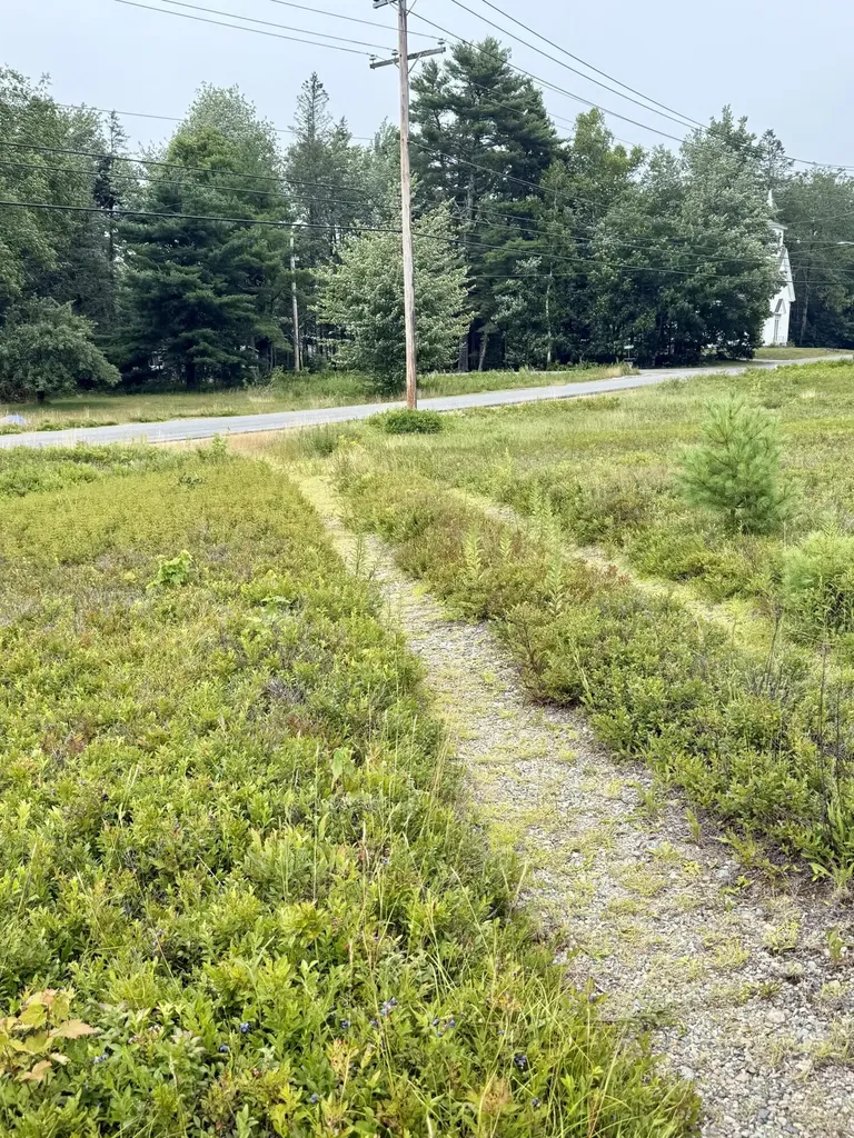 Lot 12a Us-1 Gouldsboro ME 04607