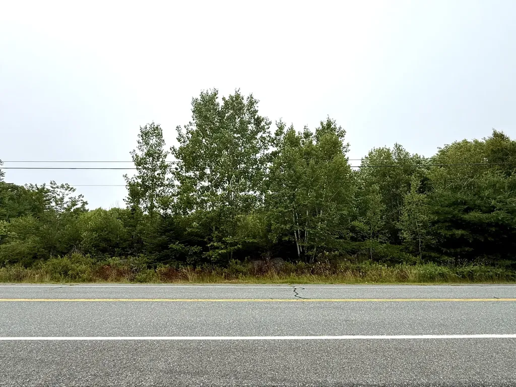 Lot 12a Us-1 Gouldsboro ME 04607