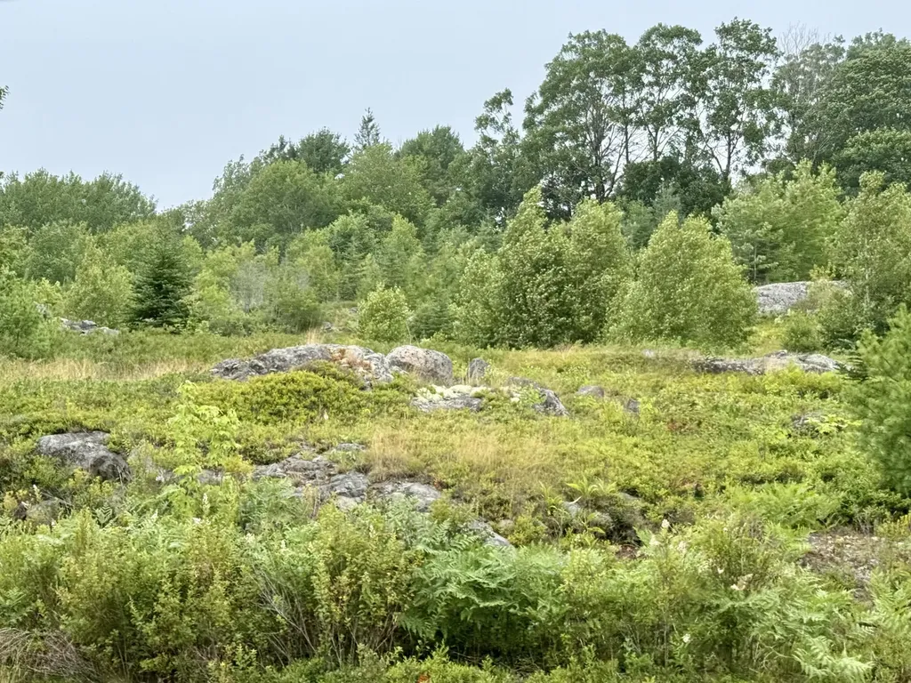 Lot 12a Us-1 Gouldsboro ME 04607