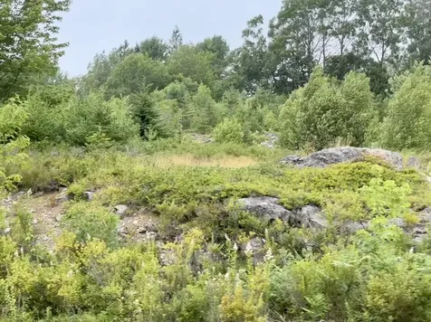 Lot 12a Us-1 Gouldsboro ME 04607