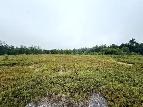 Lot 12a Us-1 Gouldsboro ME 04607