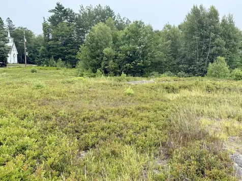 Lot 12a Us-1 Gouldsboro ME 04607