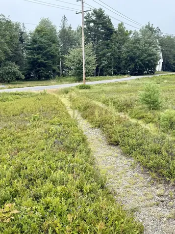 Lot 12a Us-1 Gouldsboro ME 04607