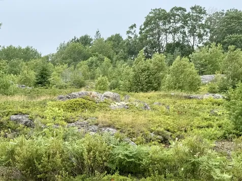 Lot 12a Us-1 Gouldsboro ME 04607