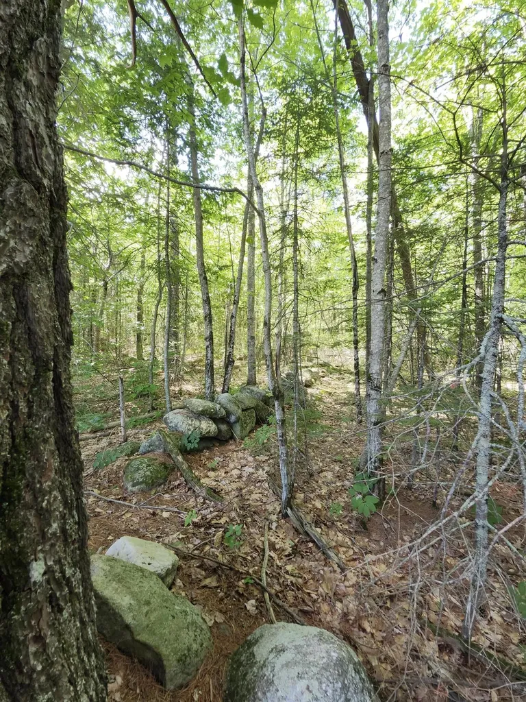 Tbd Bridgton Road Sebago ME 04029