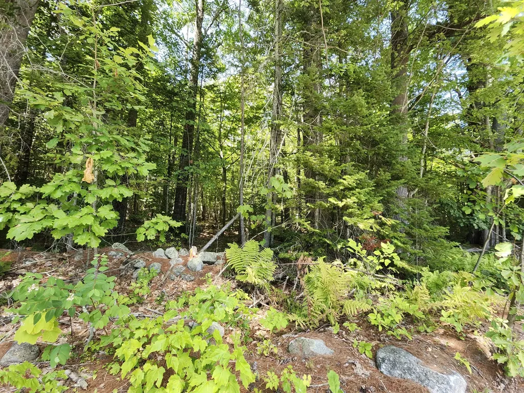Tbd Bridgton Road Sebago ME 04029