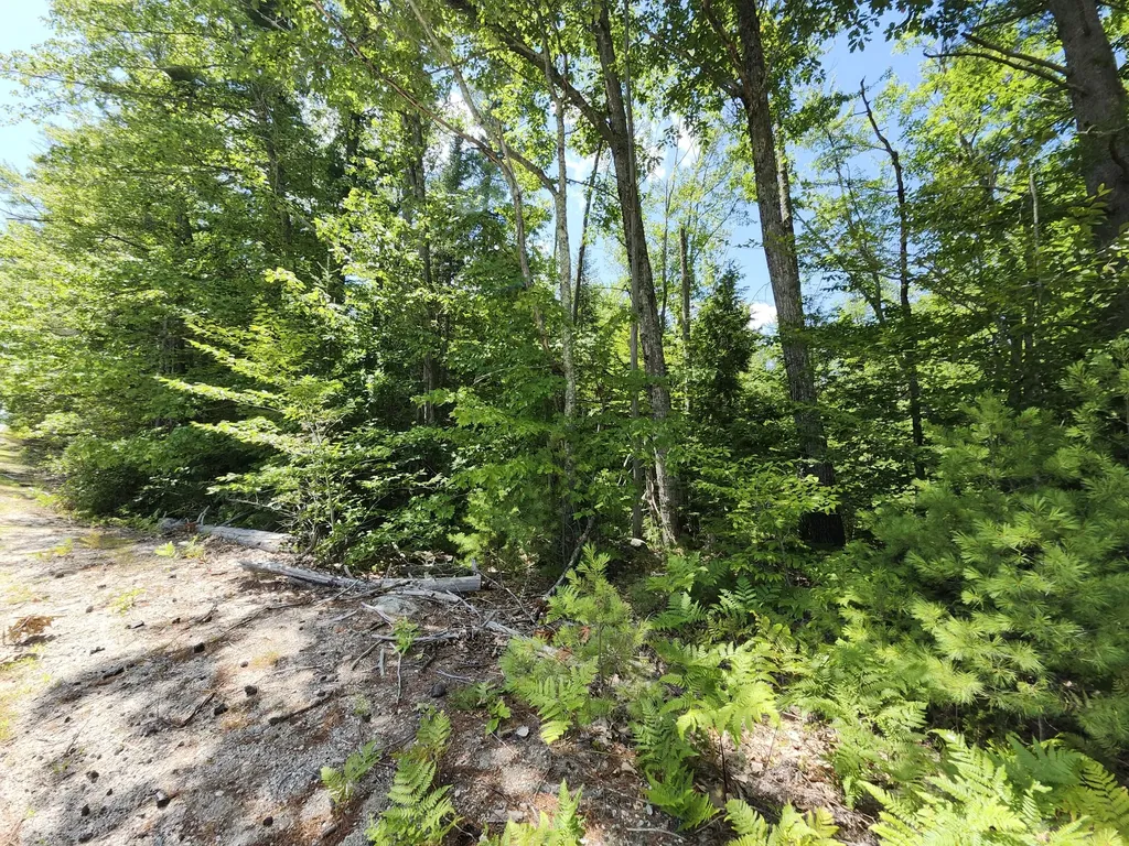 Tbd Bridgton Road Sebago ME 04029