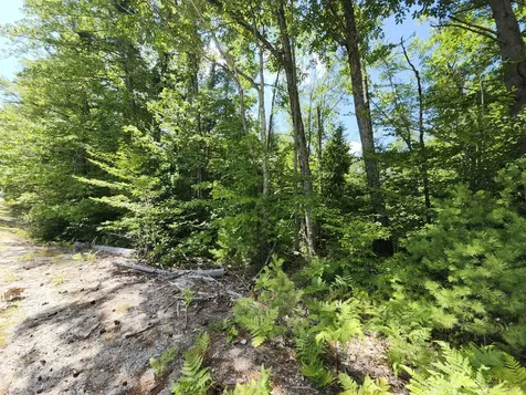 Tbd Bridgton Road Sebago ME 04029