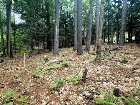 51 Beaver Dam Road Waterboro ME 04061