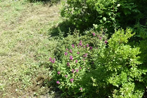 248 Paris Hill Road Paris ME 04281