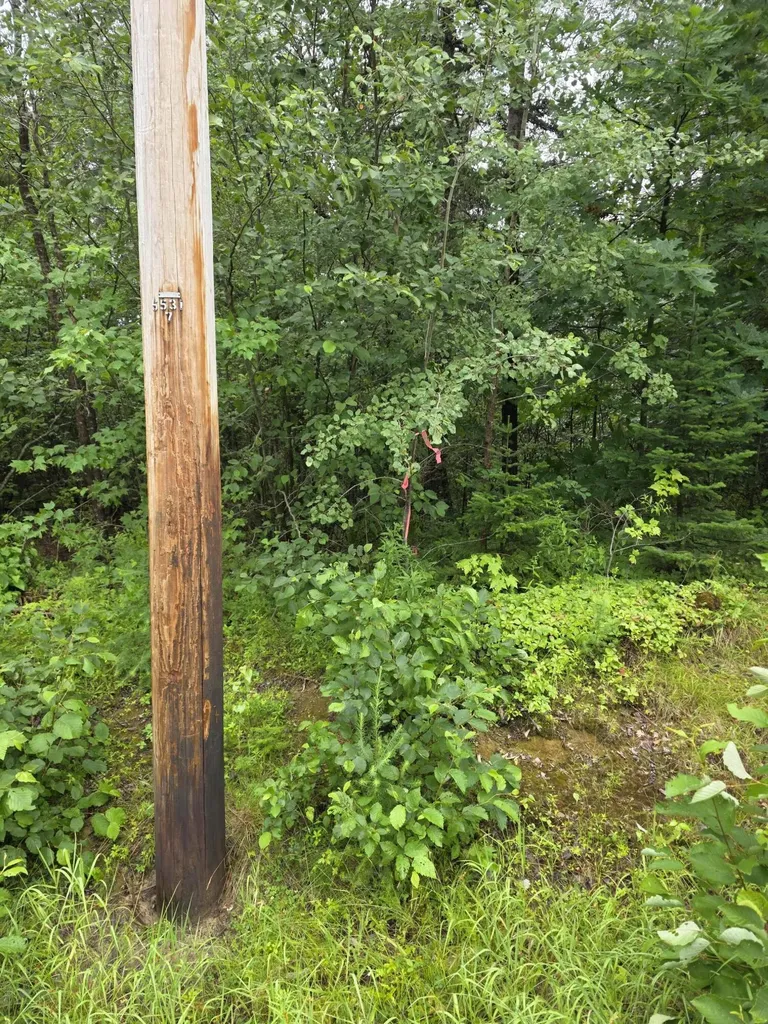 L 10 Station Road Charlotte ME 04666