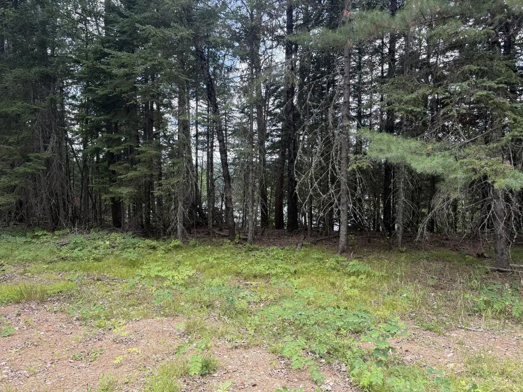 99 Flagstaff Road Eustis ME 04936