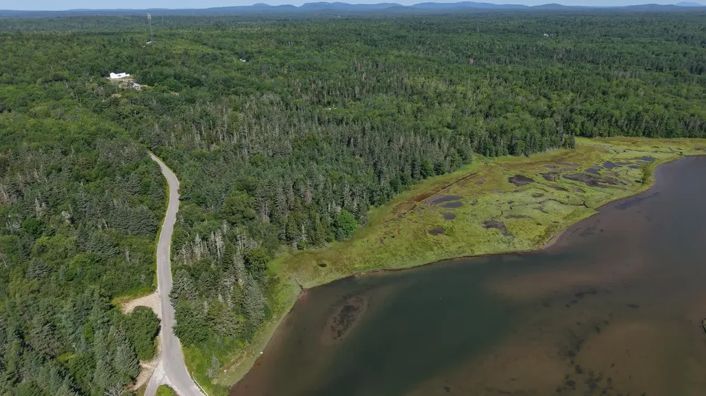 Lot 54 Pinkham Bay Bridge Road Steuben ME 04680