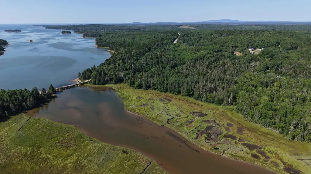 Lot 54 Pinkham Bay Bridge Road Steuben ME 04680