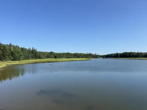 Lot 54 Pinkham Bay Bridge Road Steuben ME 04680