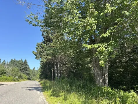 Lot 54 Pinkham Bay Bridge Road Steuben ME 04680