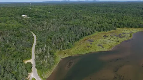 Lot 54 Pinkham Bay Bridge Road Steuben ME 04680