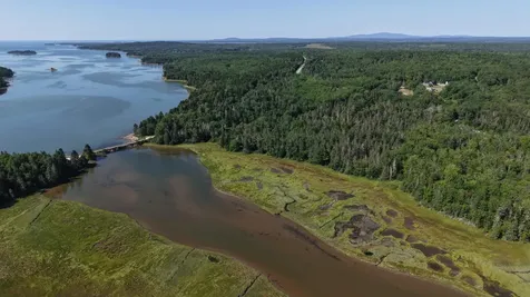 Lot 54 Pinkham Bay Bridge Road Steuben ME 04680