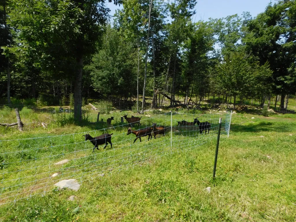 535 Betts Road Bucksport ME 04474