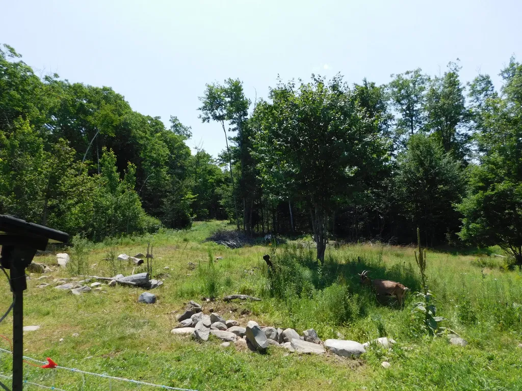 535 Betts Road Bucksport ME 04474